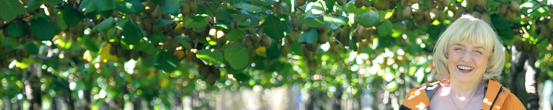 Sue Pickering under Kiwifuit